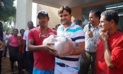 Entrega de mini cesta básica