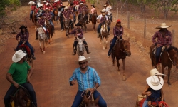 Festa do Pequi - IX Edição - 2017